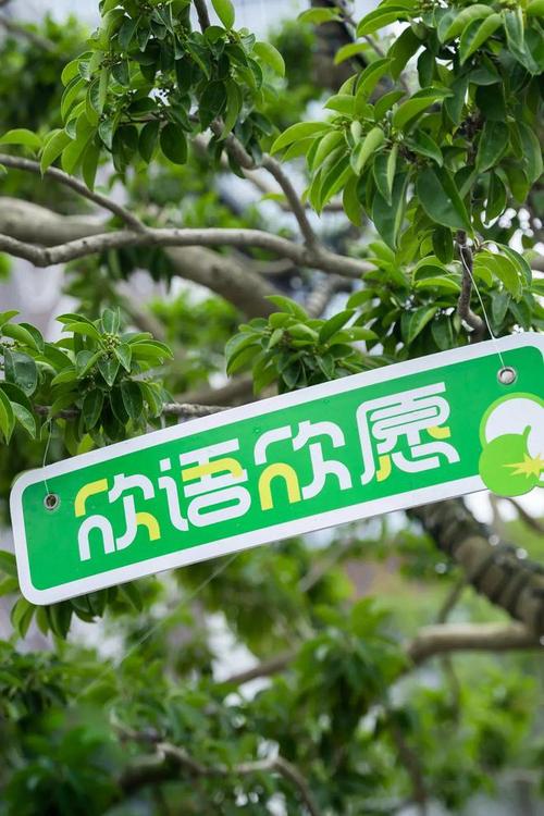 逃离都市!解锁藏在街区里的"欣"生活
